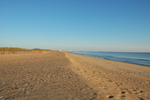 DSC_0065.JPG