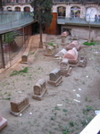 IMG_0375.JPG