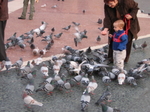 IMG_0441.JPG