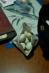 balut!