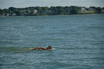 DSC_0098.jpg