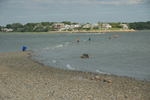 DSC_0084.jpg