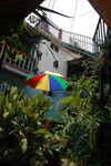 DSC_0061.jpg