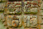 DSC_0073.jpg