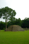 DSC_0092.jpg