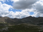 IMG_2016.JPG