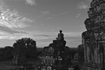 IMGP6525.jpg