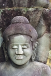IMGP6550.jpg