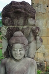IMGP6551.jpg