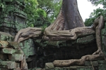 IMGP6681.jpg