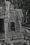 IMGP6674.jpg