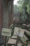 IMGP6671.jpg