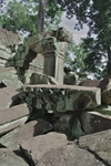 IMGP6670.jpg