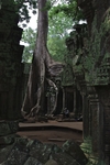 IMGP6652.jpg
