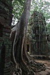 IMGP6642.jpg