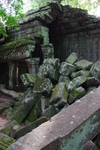 IMGP6636.jpg