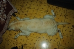 IMGP0499