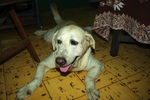 IMGP0500