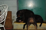 IMGP0561