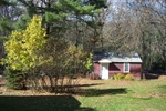 DCP_0057.JPG
