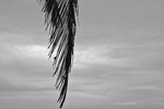 IMGP0780