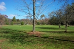 DCP_0058.JPG