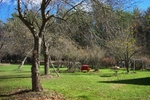 DCP_0059.JPG
