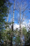DCP_0069.JPG