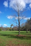 DCP_0070.JPG