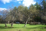 DCP_0071.JPG