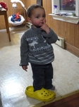 P1090775.jpg