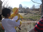 Denver Zoo