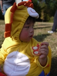 P1150004.jpg