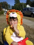 P1150005.jpg